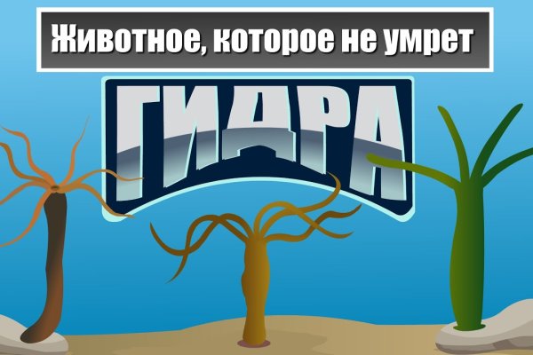 Сайт kraken зеркала