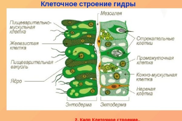 Браузер кракен